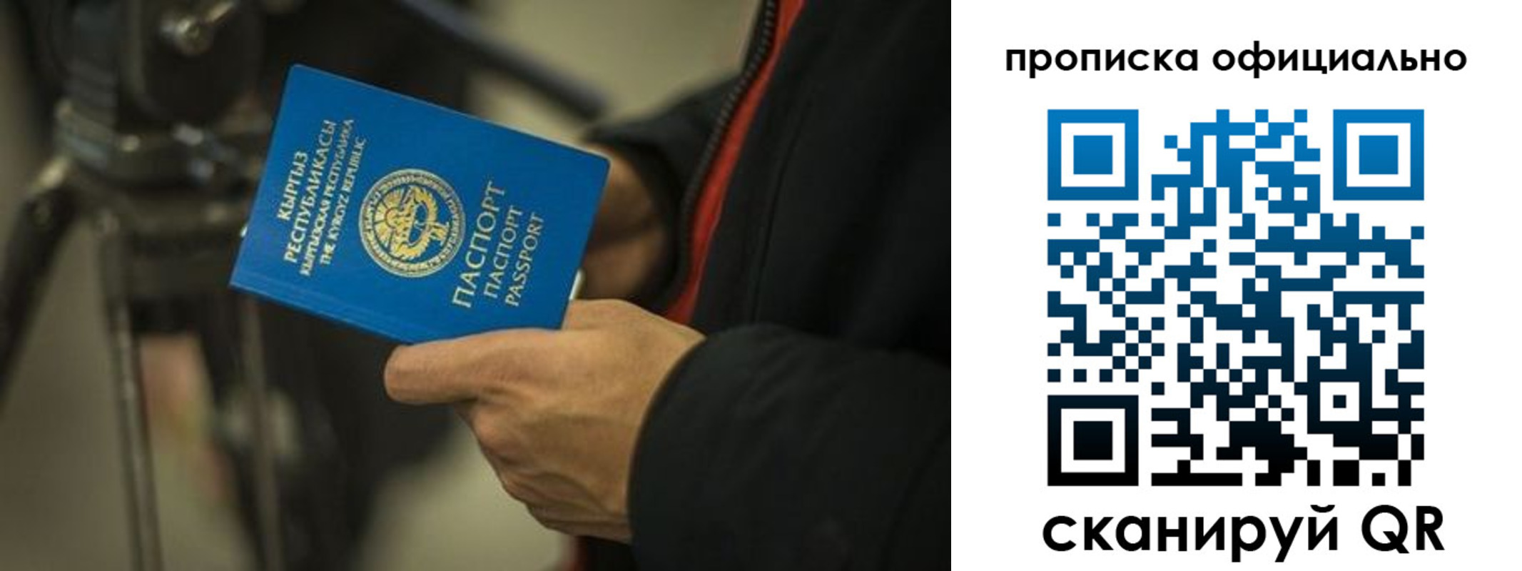 прописка в Светлом